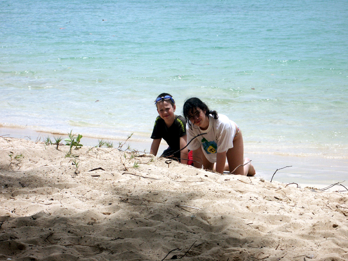 25 - Mangrove 029.jpg - DCF 1.0